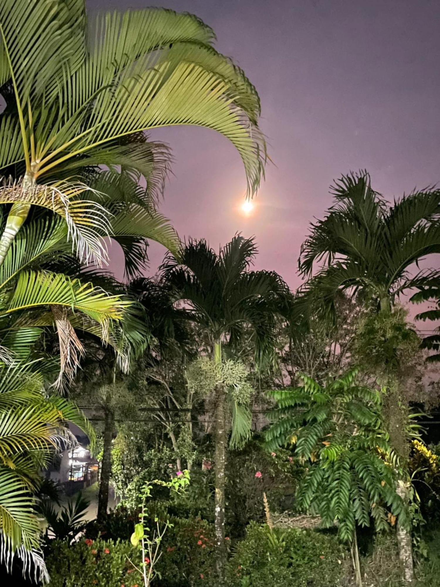 Hotel Tierra De Volcanes La Fortuna Bagian luar foto