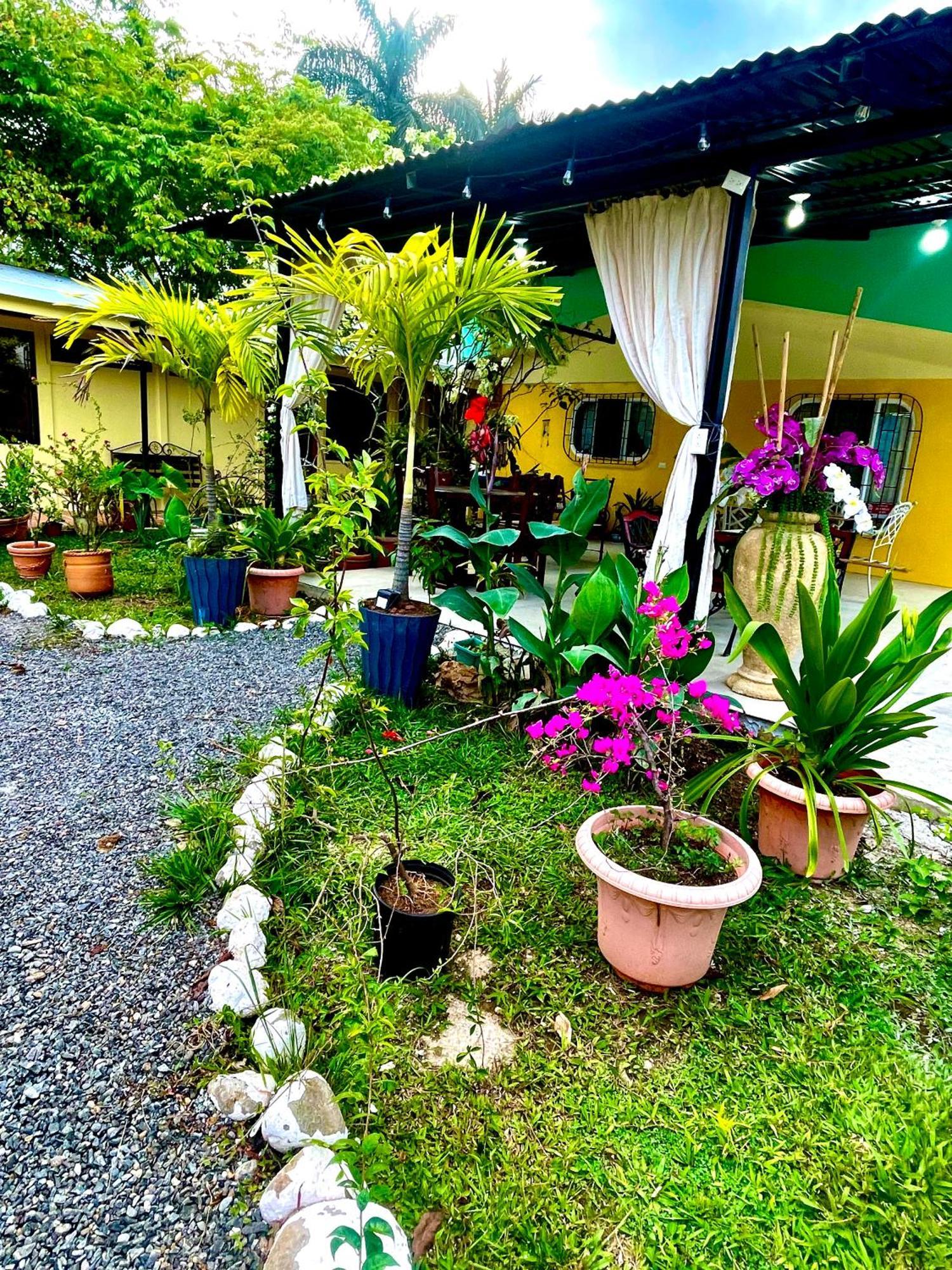 Hotel Tierra De Volcanes La Fortuna Bagian luar foto